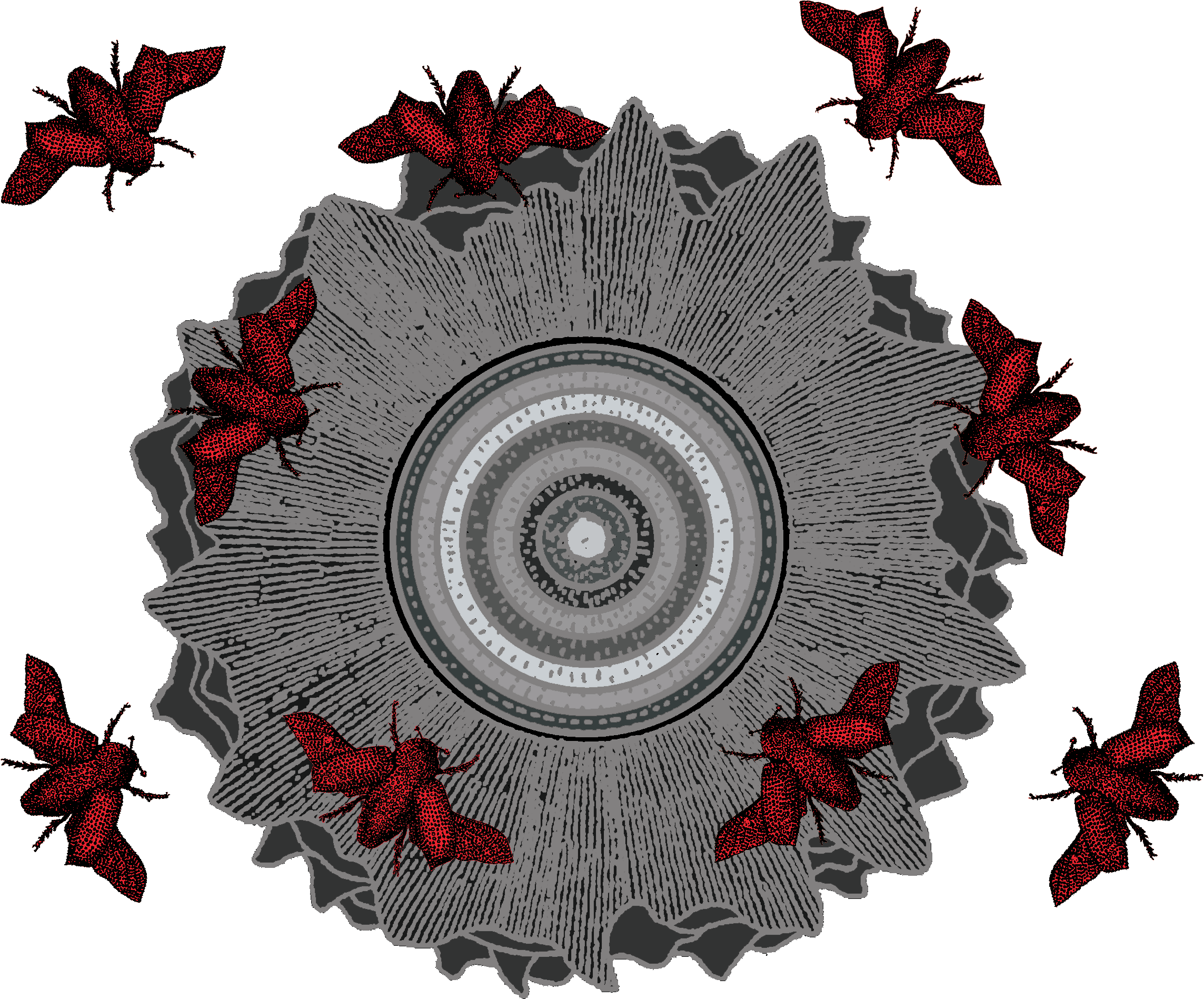 Visuel représentant les cercles de l'Enfer